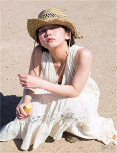 狂野少女电视剧免费播放