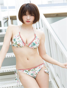 电视剧捕狼行动