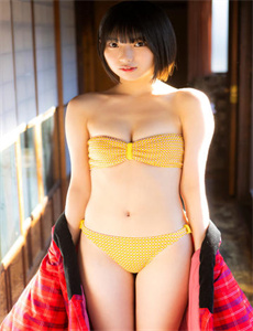 完美结局